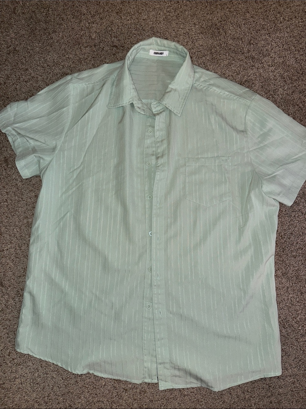 Arrow Short Sleeve Button-Down Shirt in Pale Mint